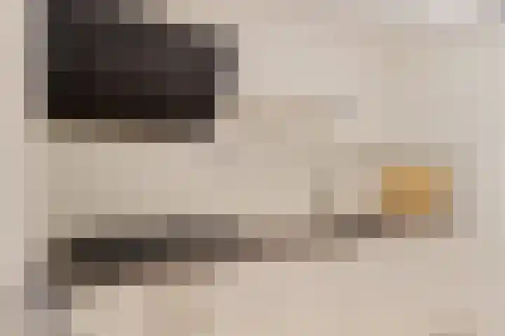 Pietersberg 150 Capelle aan den IJssel thumbnail 5