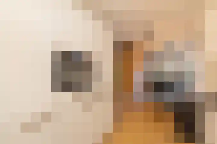 Pietersberg 150 Capelle aan den IJssel thumbnail 6