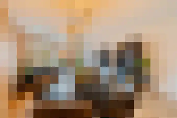 Pietersberg 150 Capelle aan den IJssel thumbnail 7