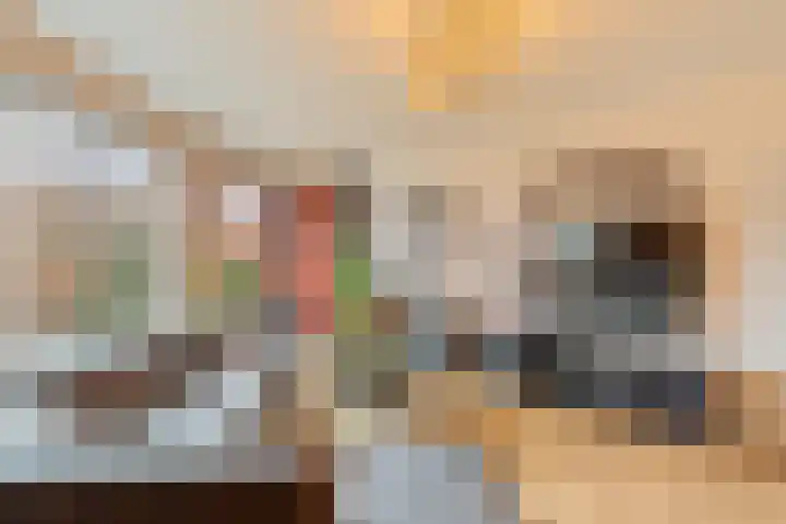 Pietersberg 150 Capelle aan den IJssel thumbnail 9