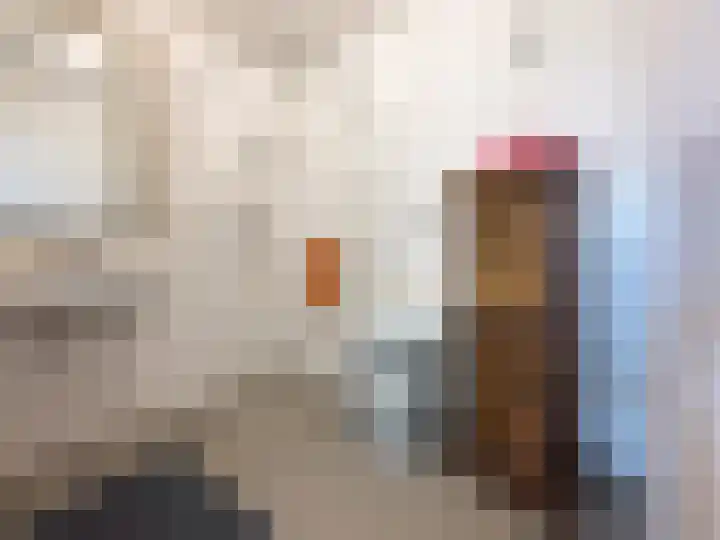 Pietersberg 156 Capelle aan den IJssel thumbnail 16