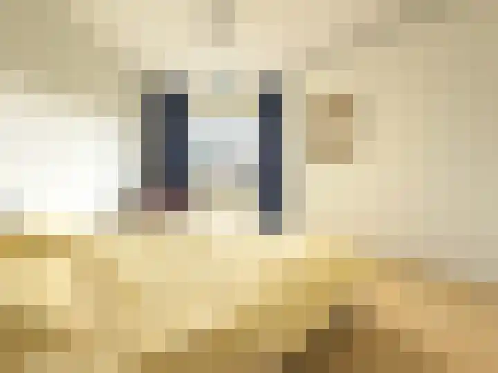 Pietersberg 156 Capelle aan den IJssel thumbnail 19