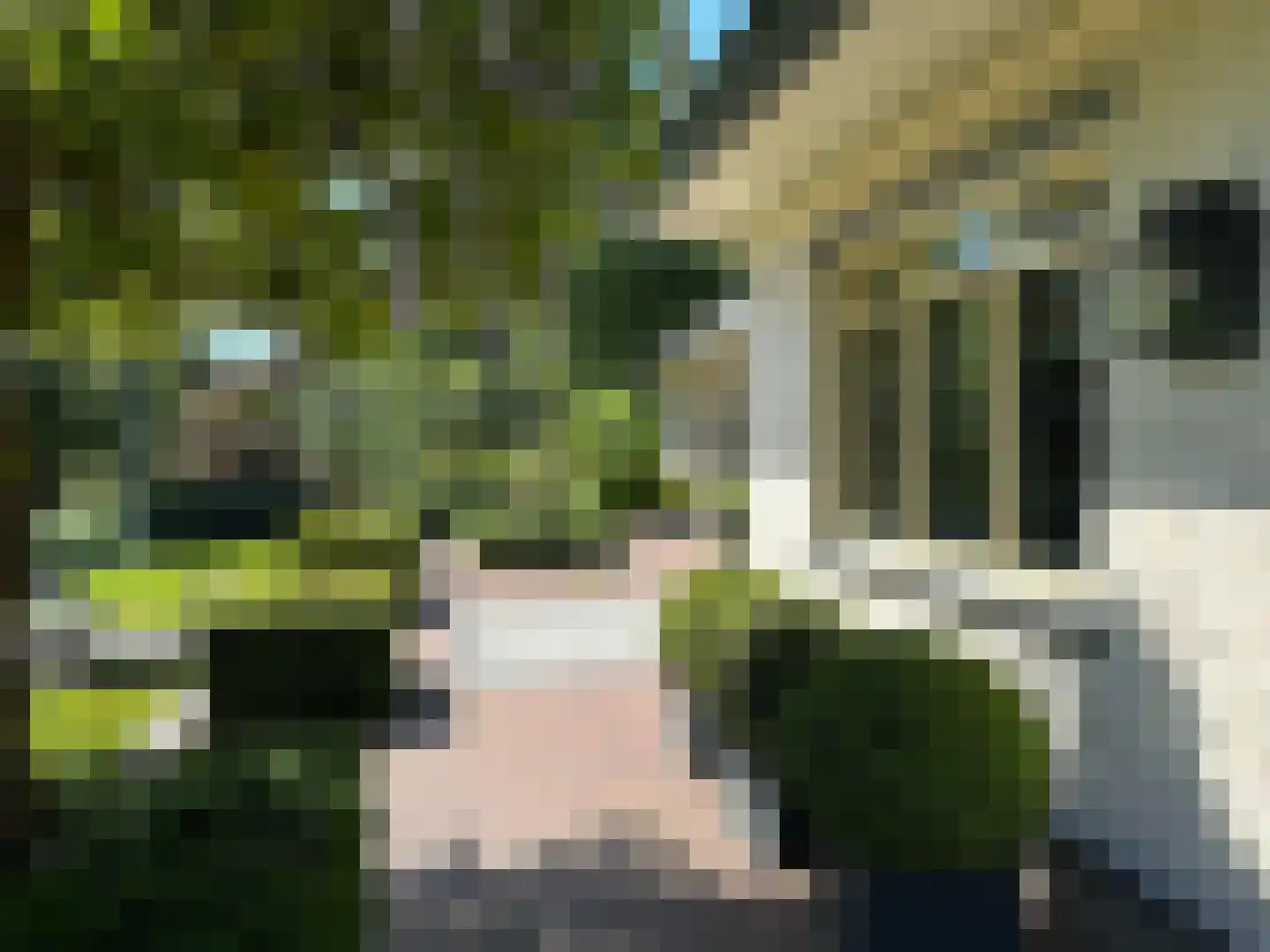 Pietersbergseweg 50 Oosterbeek thumbnail 12
