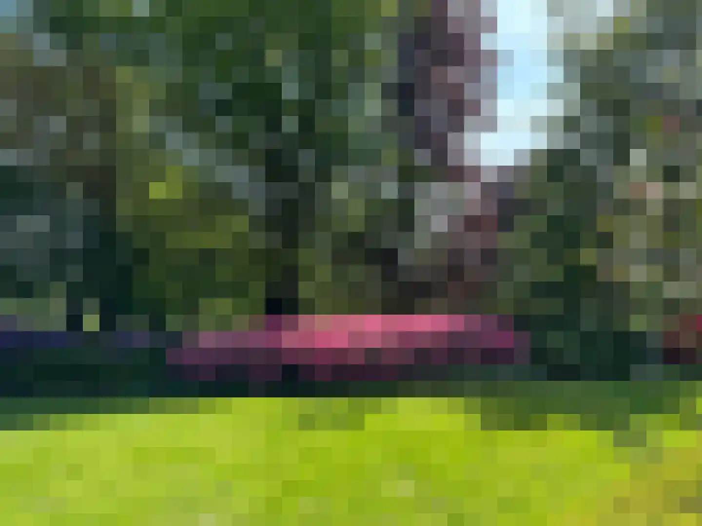 Pietersbergseweg 50 Oosterbeek thumbnail 34