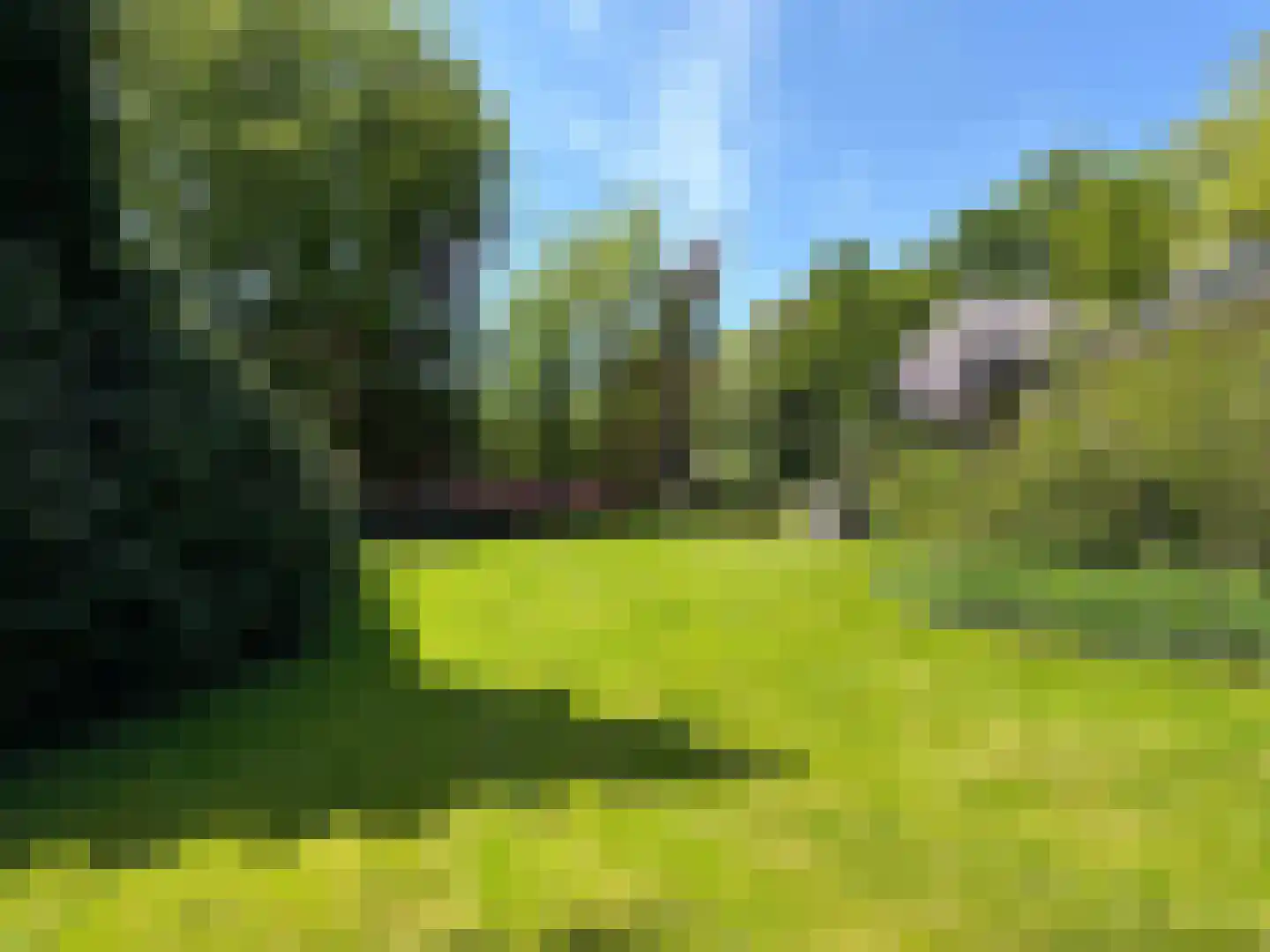 Pietersbergseweg 50 Oosterbeek thumbnail 35
