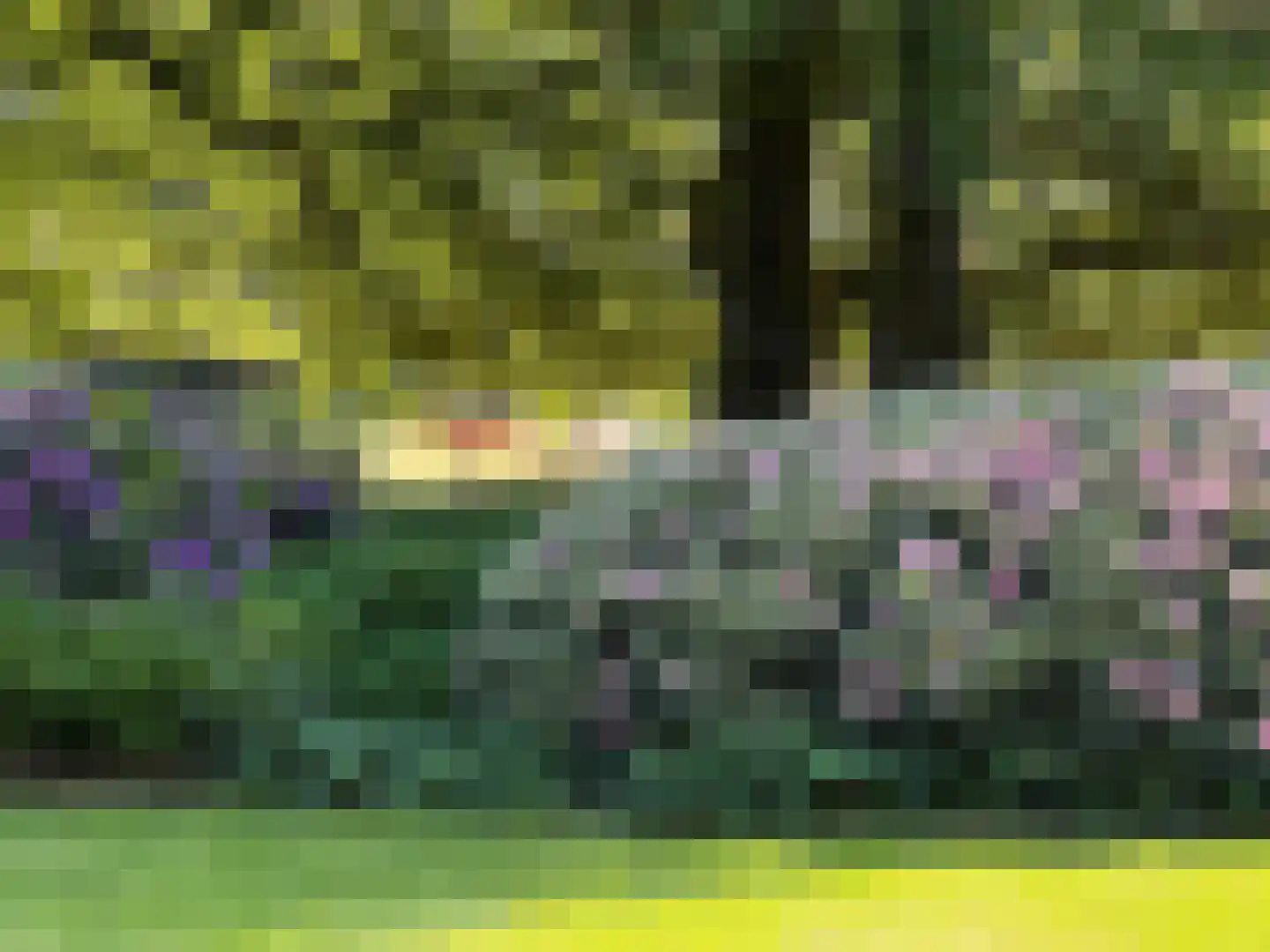 Pietersbergseweg 50 Oosterbeek thumbnail 36