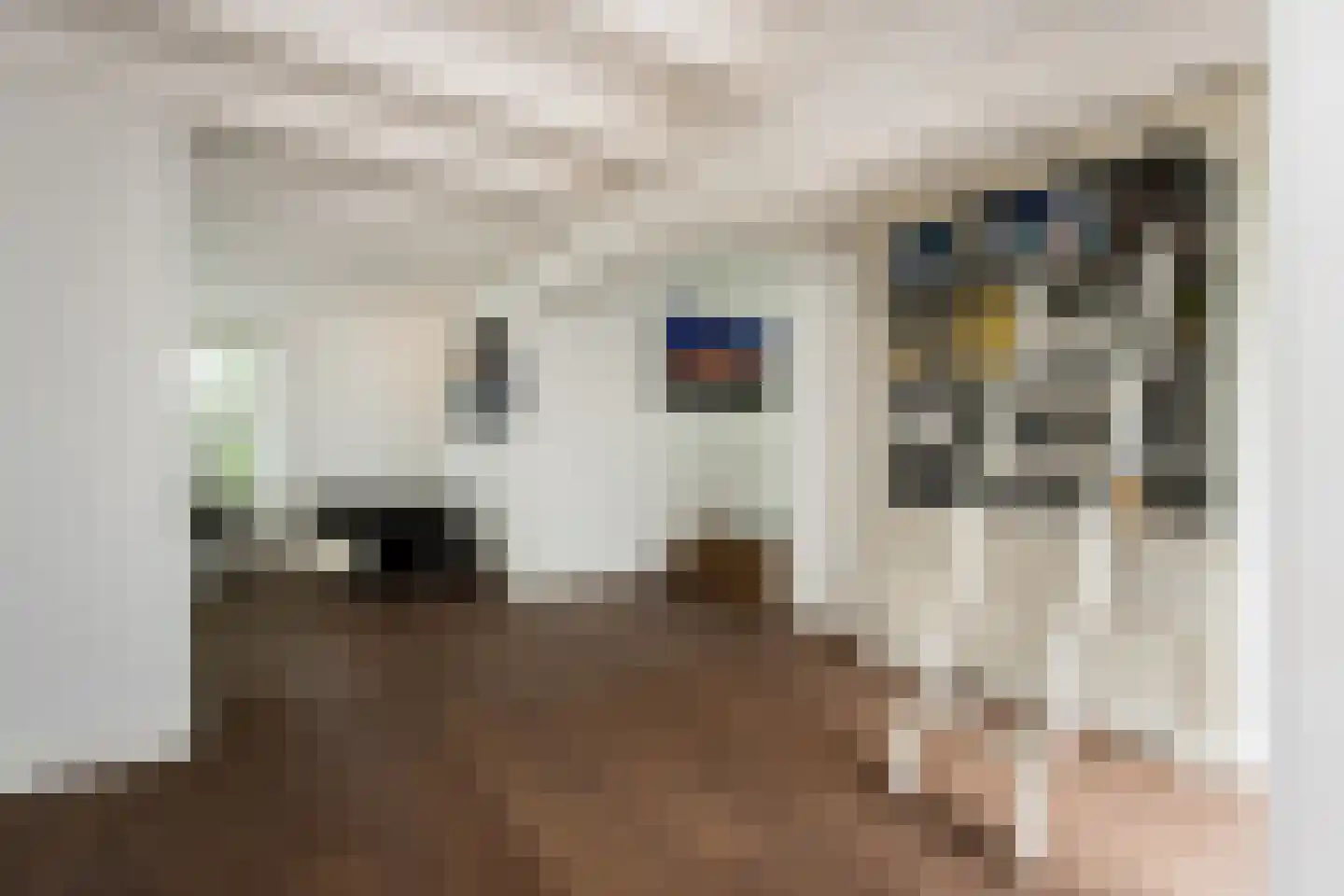 Pietersdijk 12 Kerkdriel thumbnail 11