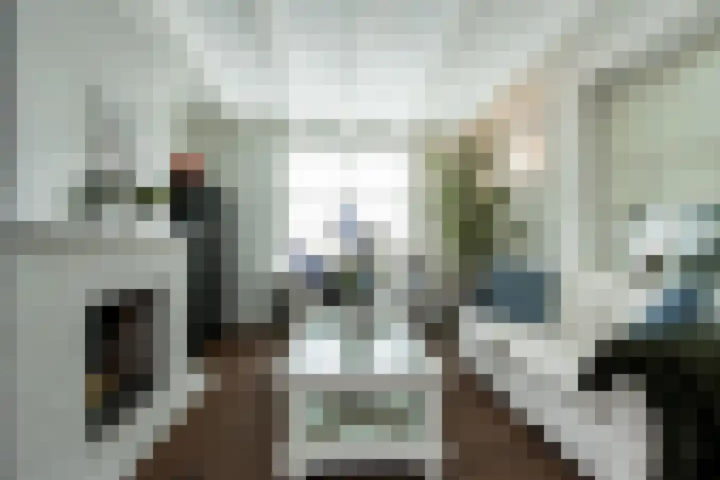 Pietersdijk 12 Kerkdriel thumbnail 13