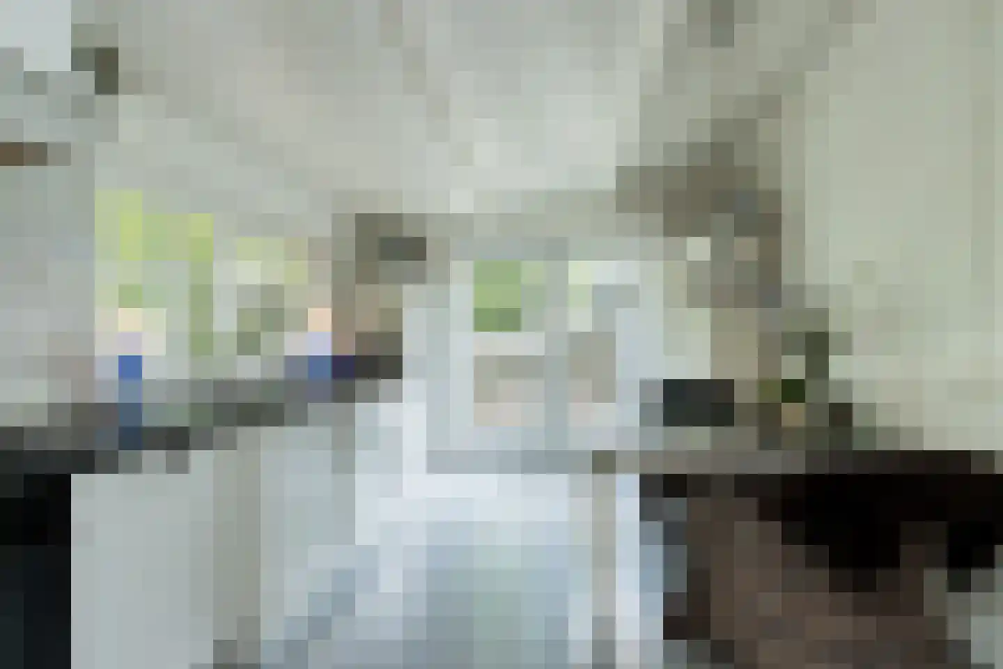 Pietersdijk 12 Kerkdriel thumbnail 17