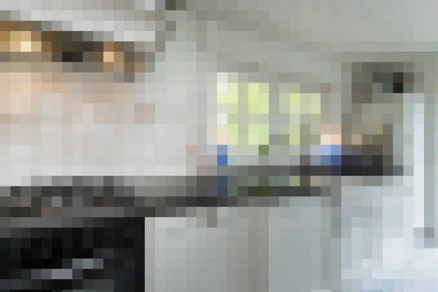 Pietersdijk 12 Kerkdriel thumbnail 18
