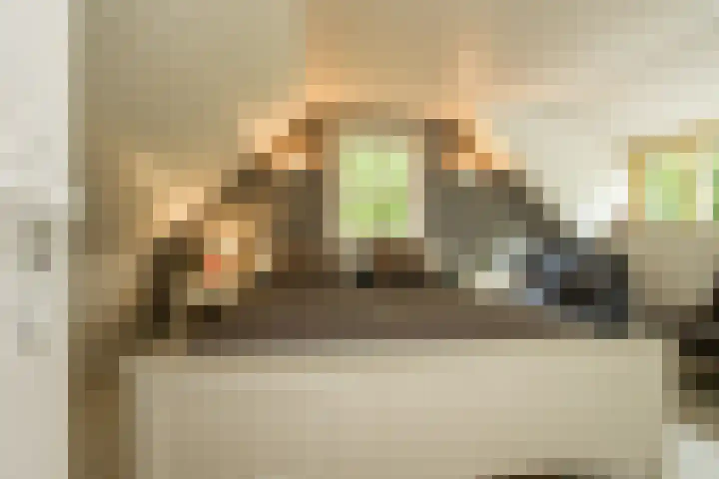 Pietersdijk 12 Kerkdriel thumbnail 30