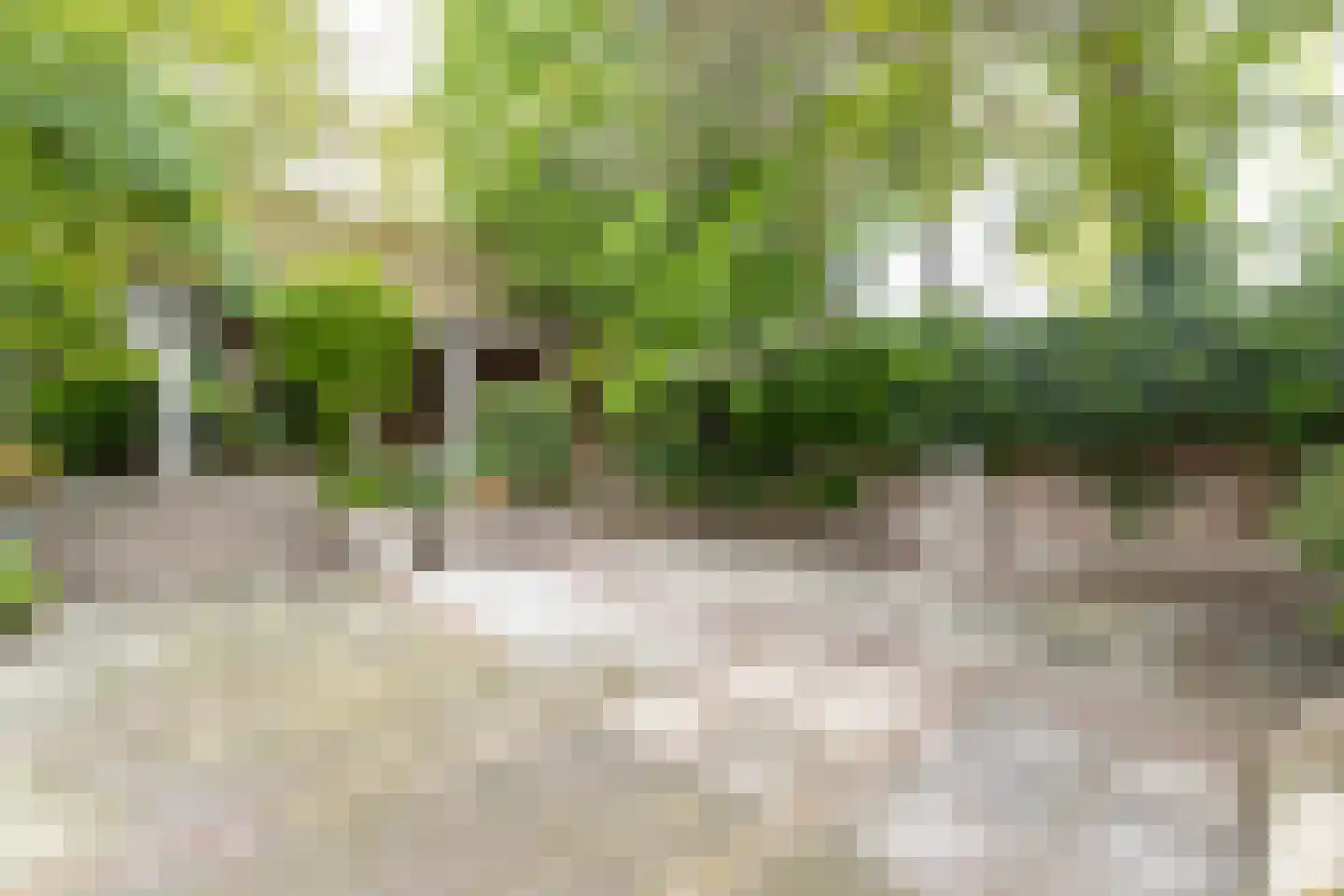 Pietersdijk 12 Kerkdriel thumbnail 43
