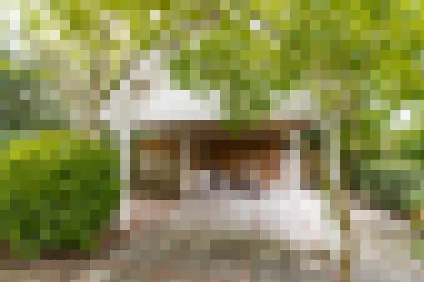 Pietersdijk 12 Kerkdriel thumbnail 5