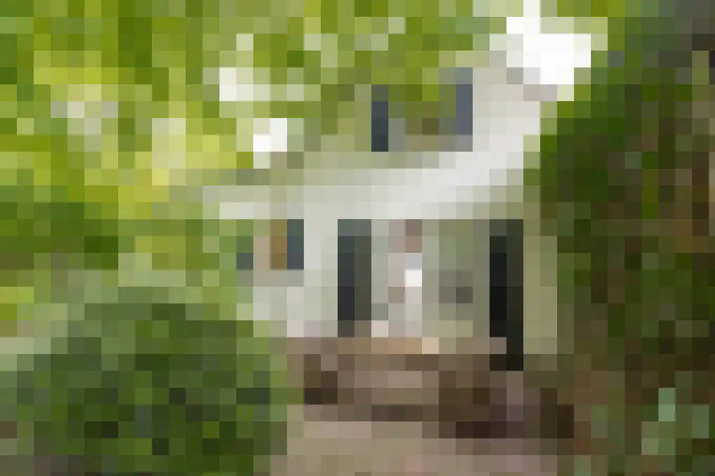 Pietersdijk 12 Kerkdriel thumbnail 56