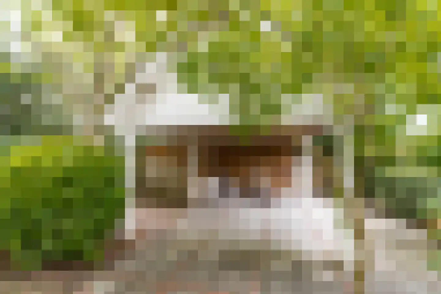 Pietersdijk 12 Kerkdriel thumbnail 57