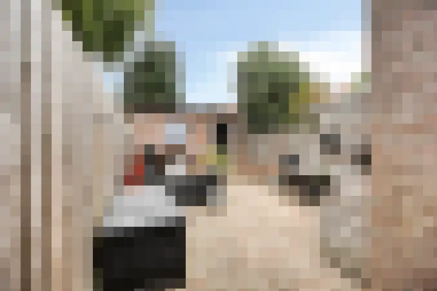 Pieterseliestraat 18 Zierikzee thumbnail 20