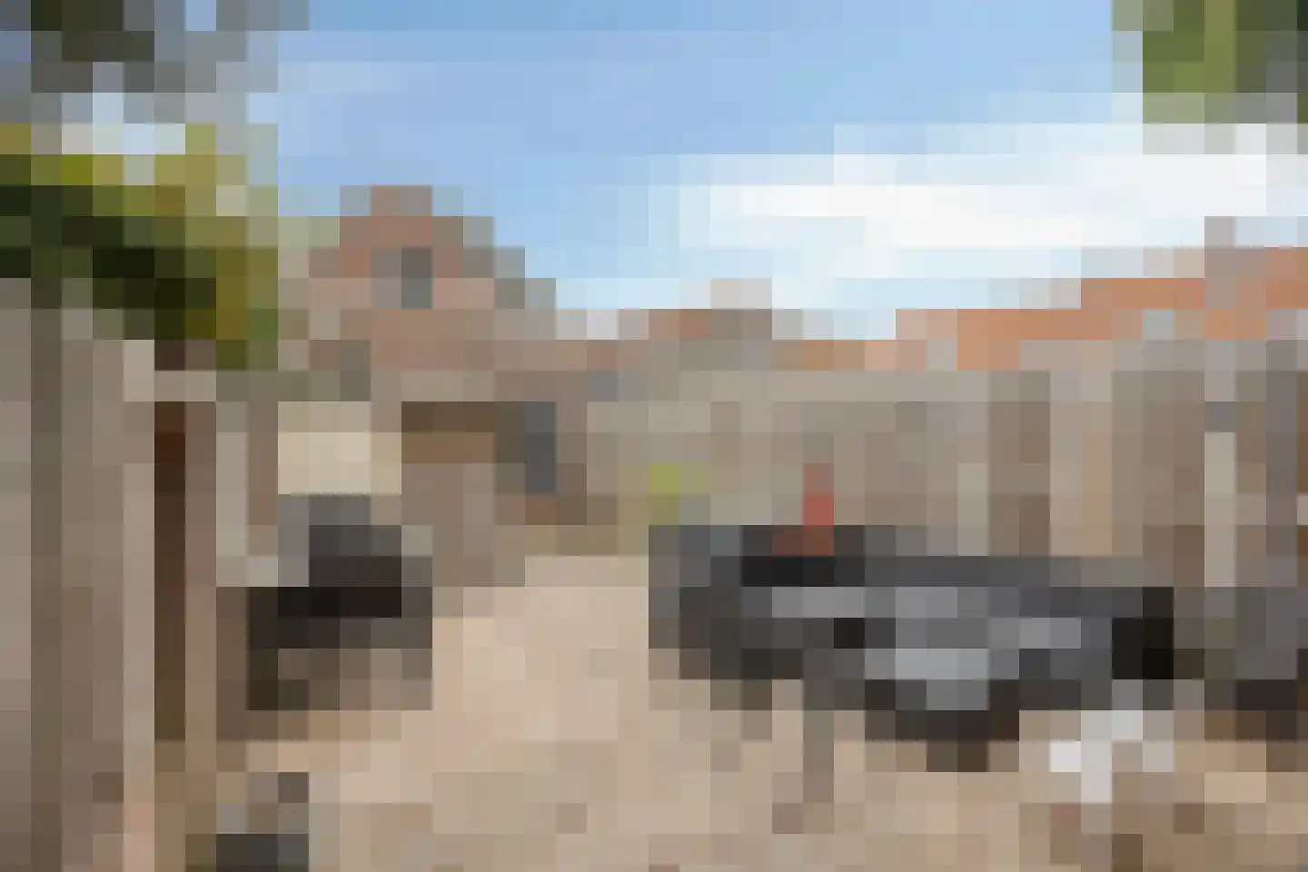 Pieterseliestraat 18 Zierikzee thumbnail 22