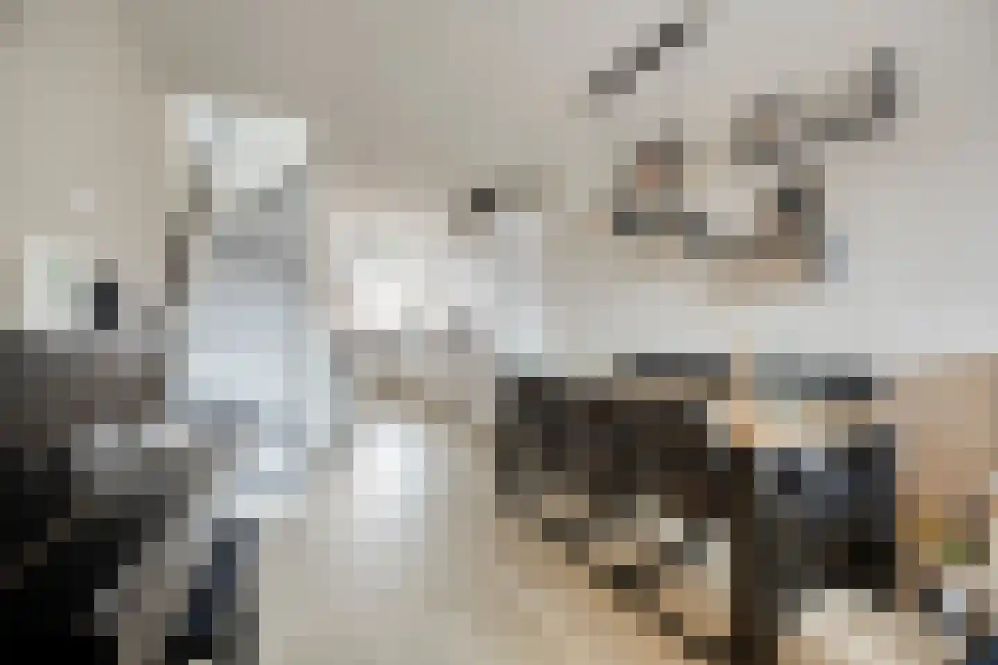 Pieterseliestraat 18 Zierikzee thumbnail 7