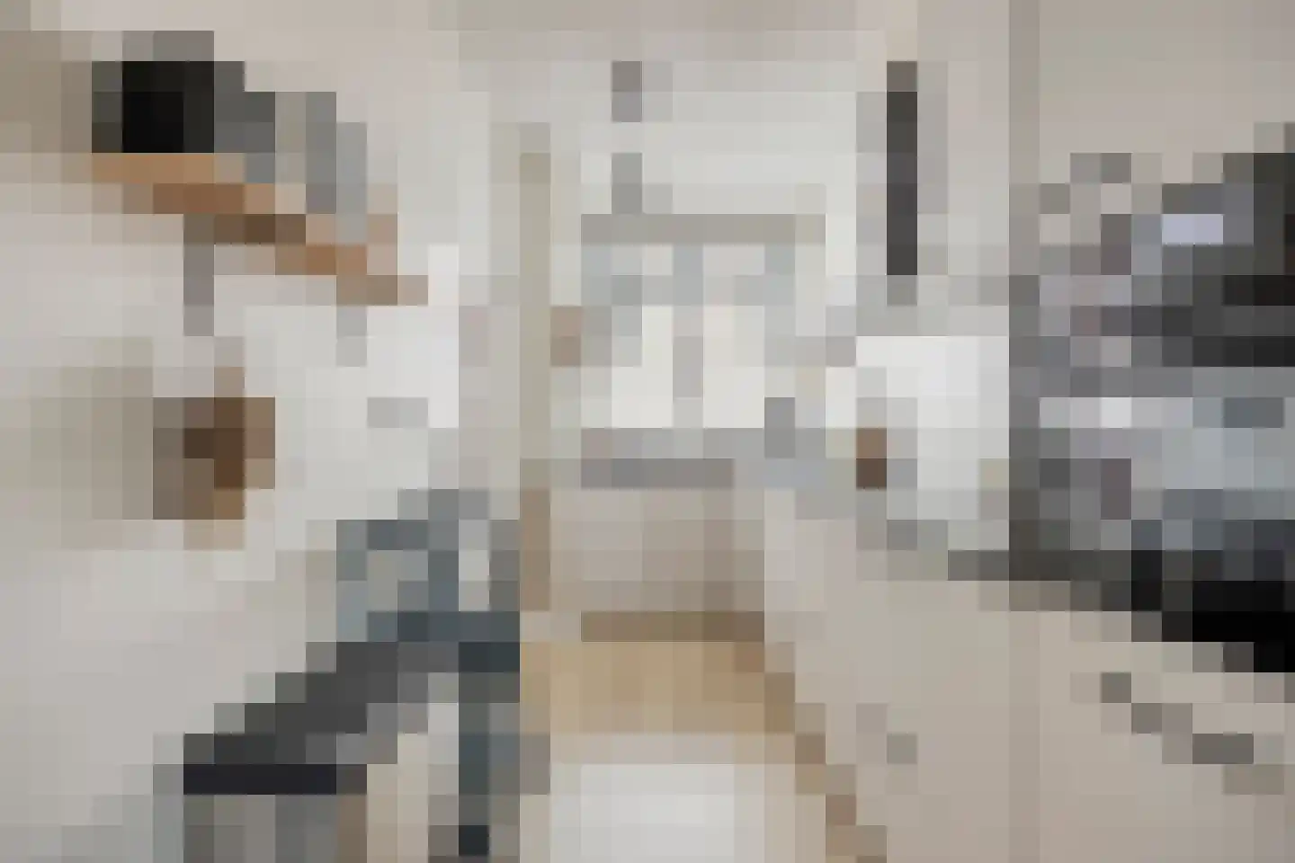 Pieterseliestraat 18 Zierikzee thumbnail 8