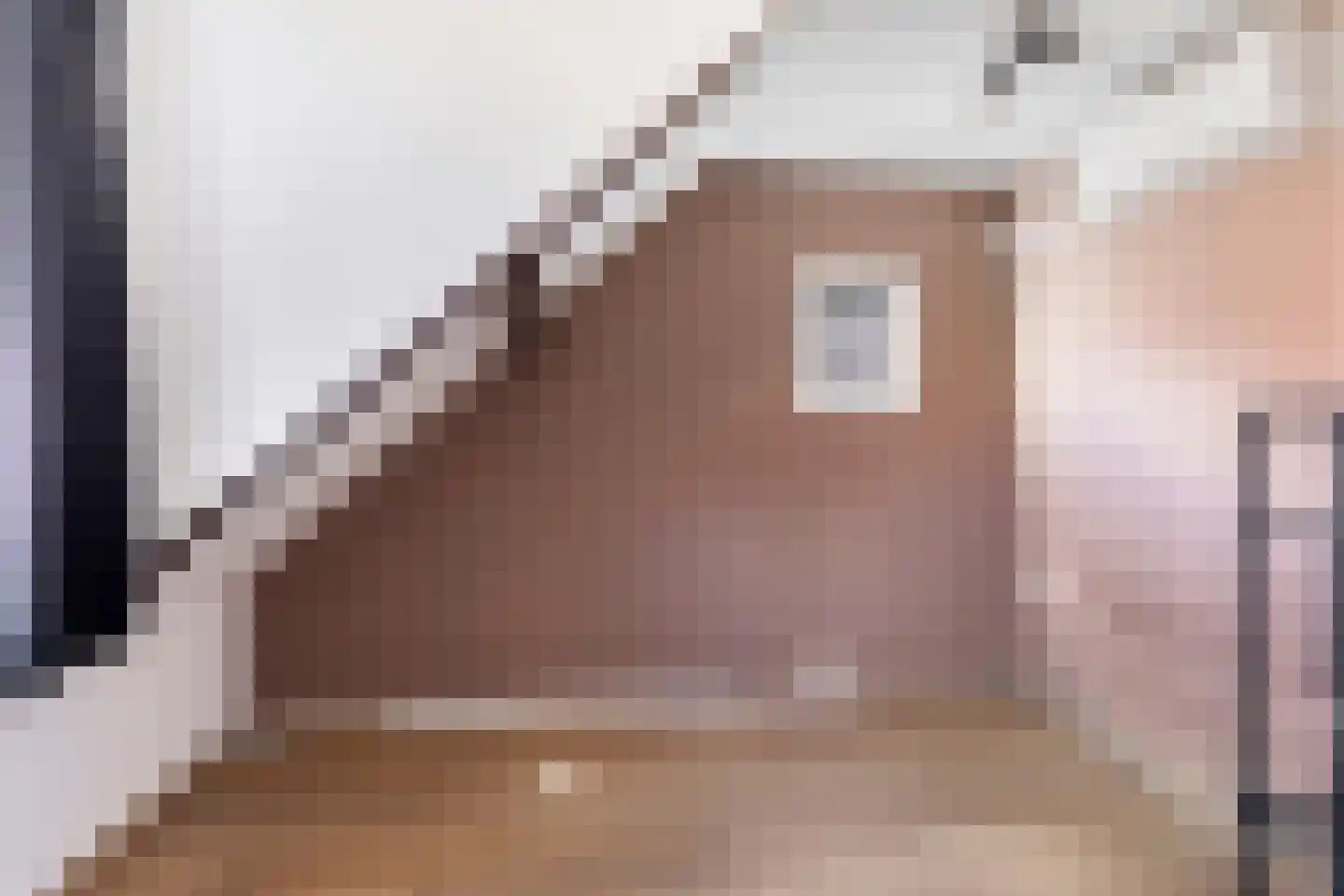 Pieterseliestraat 25 Zierikzee thumbnail 21