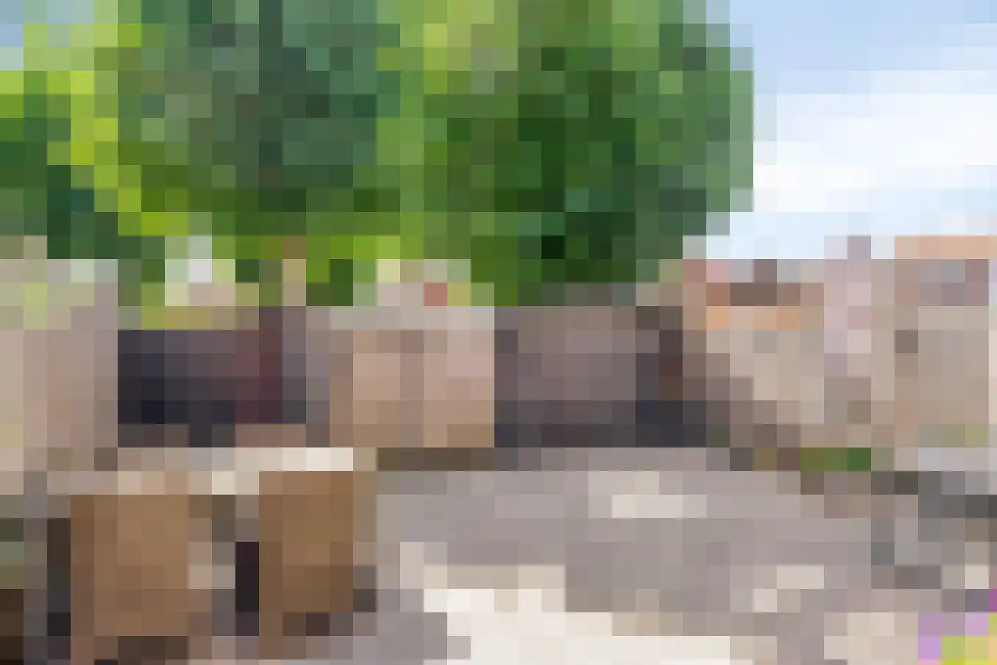 Pieterseliestraat 25 Zierikzee thumbnail 22