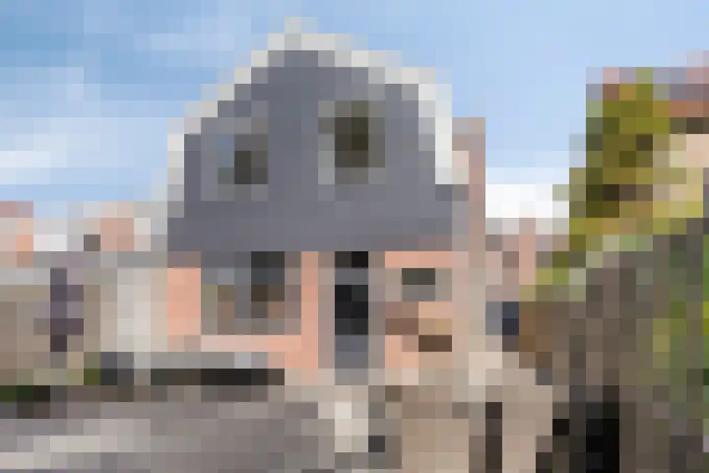 Pieterseliestraat 25 Zierikzee thumbnail 24