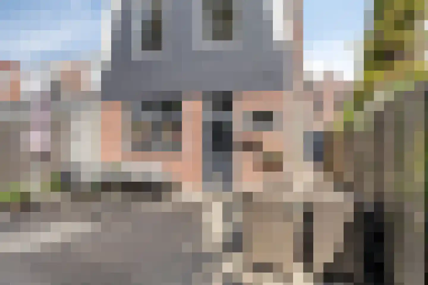 Pieterseliestraat 25 Zierikzee thumbnail 25