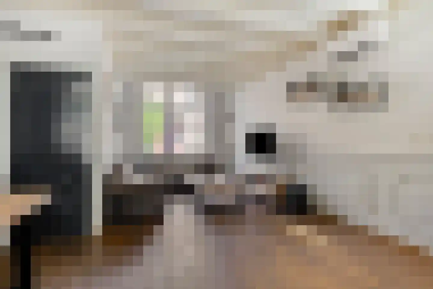 Pieterseliestraat 25 Zierikzee thumbnail 5