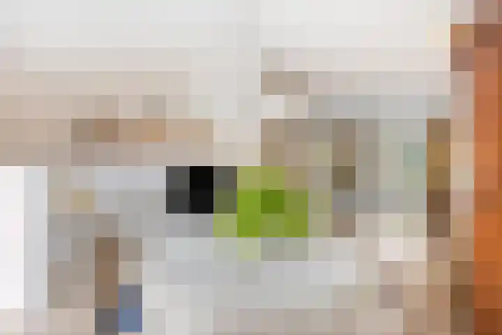 Pietershoek 12 Veldhoven thumbnail 13