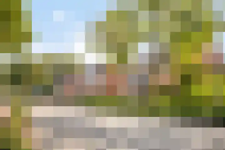 Pietershoek 12 Veldhoven thumbnail 4