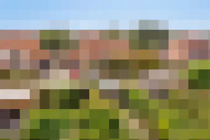 Pietershoek 12 Veldhoven thumbnail 40