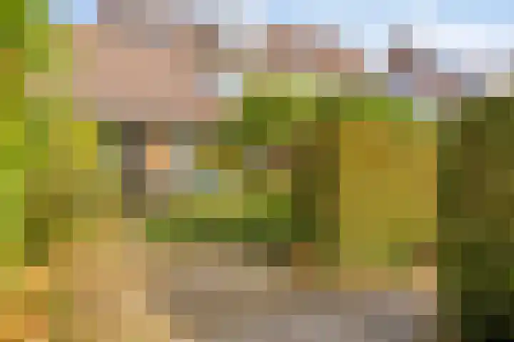 Pietershoek 12 Veldhoven thumbnail 46