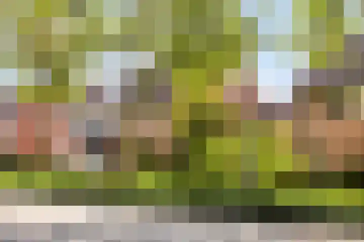 Pietershoek 12 Veldhoven thumbnail 49