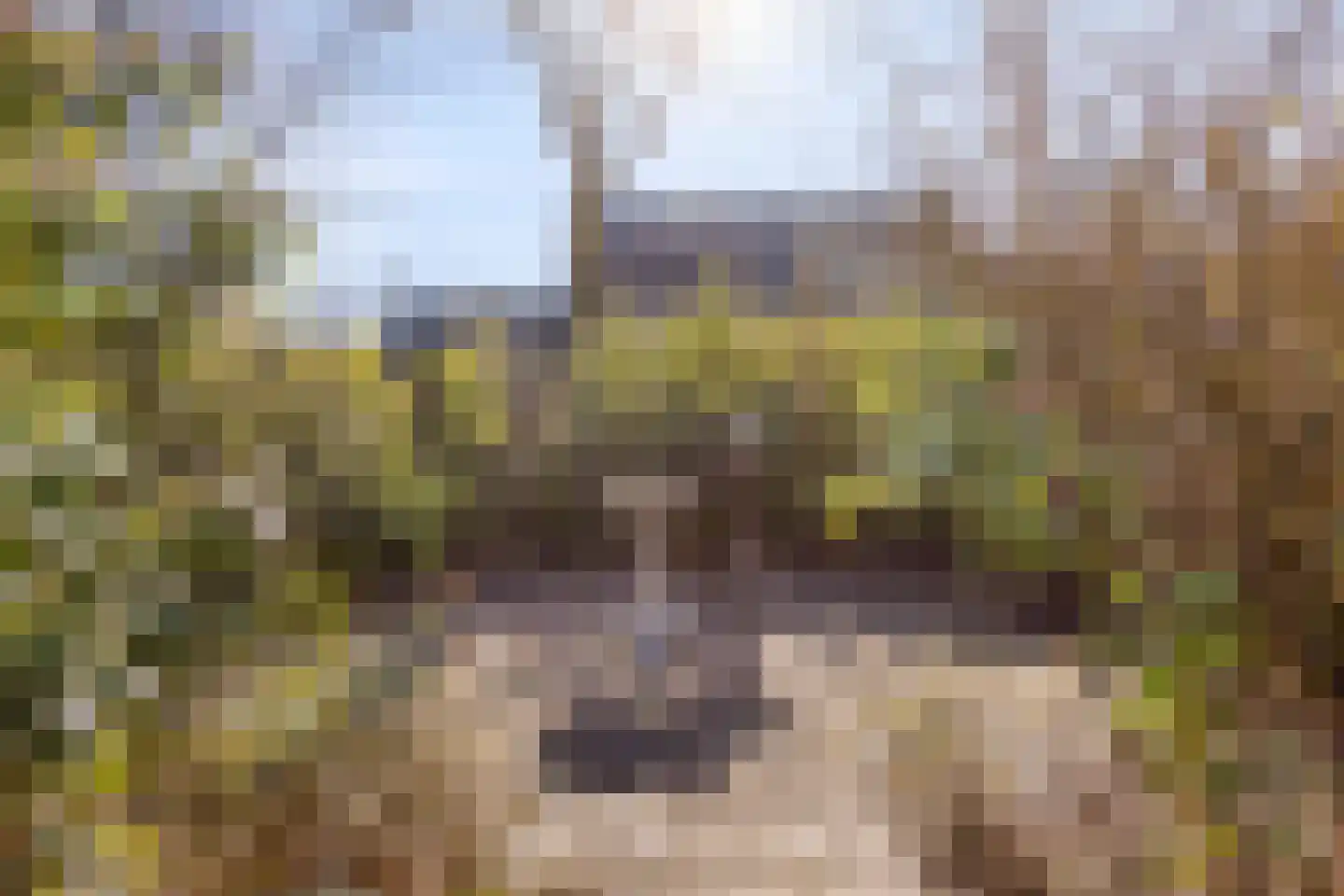 Pietershoek 2 Veldhoven thumbnail 32