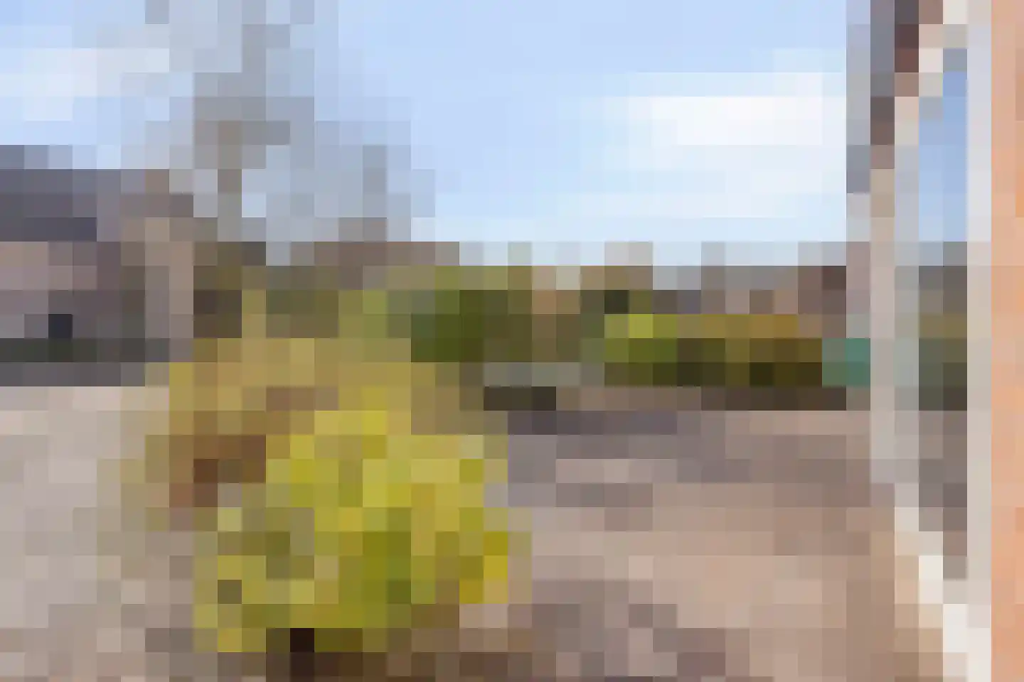 Pietershoek 2 Veldhoven thumbnail 34