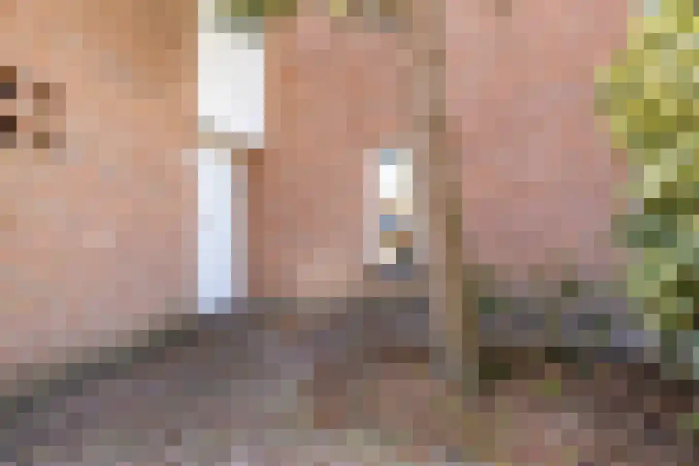 Pietershoek 2 Veldhoven thumbnail 5
