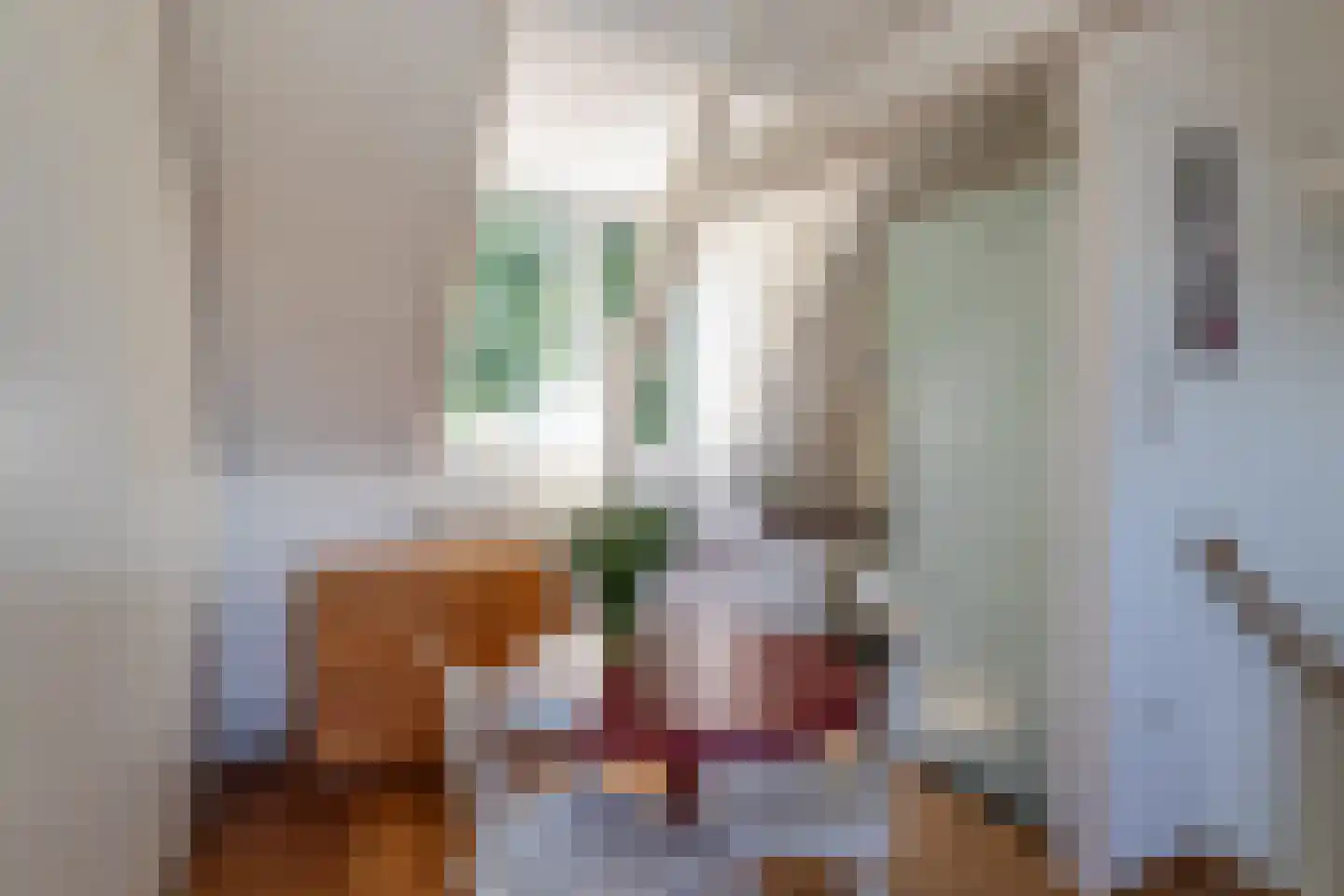 Pieterskerkhof 19 A Utrecht thumbnail 19