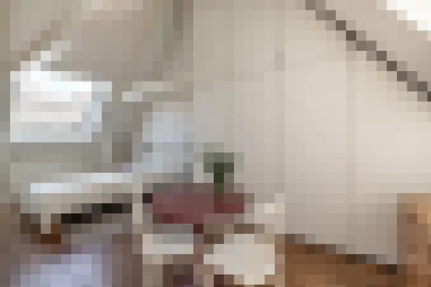 Pieterskerkhof 19 A Utrecht thumbnail 22