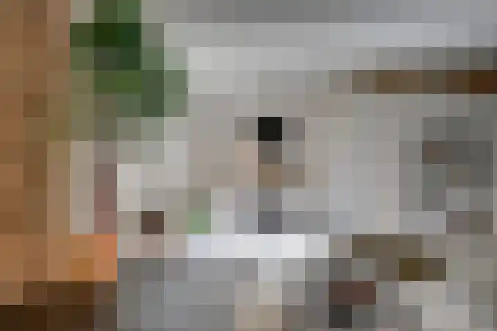 Pieterskerkhof 2 Utrecht thumbnail 10