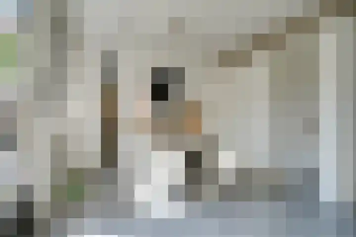 Pieterskerkhof 2 Utrecht thumbnail 13