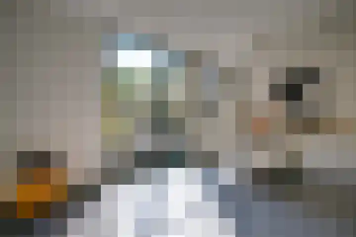 Pieterskerkhof 2 Utrecht thumbnail 14