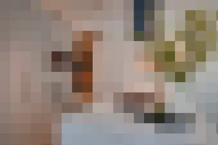 Pieterskerkhof 2 Utrecht thumbnail 17