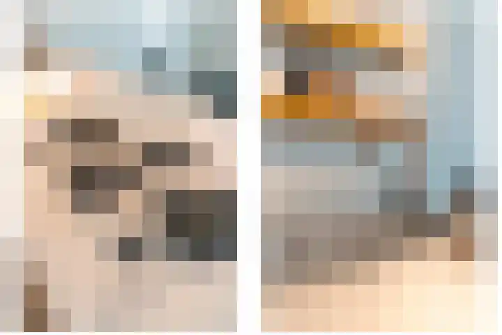 Pieterskerkhof 2 Utrecht thumbnail 22