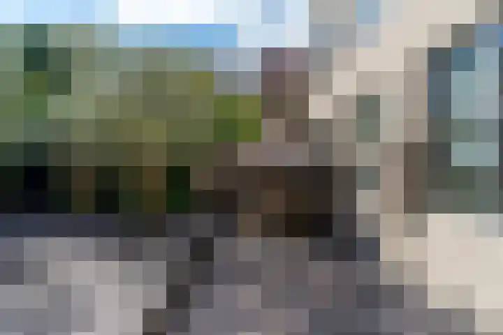 Pieterskerkhof 2 Utrecht thumbnail 23