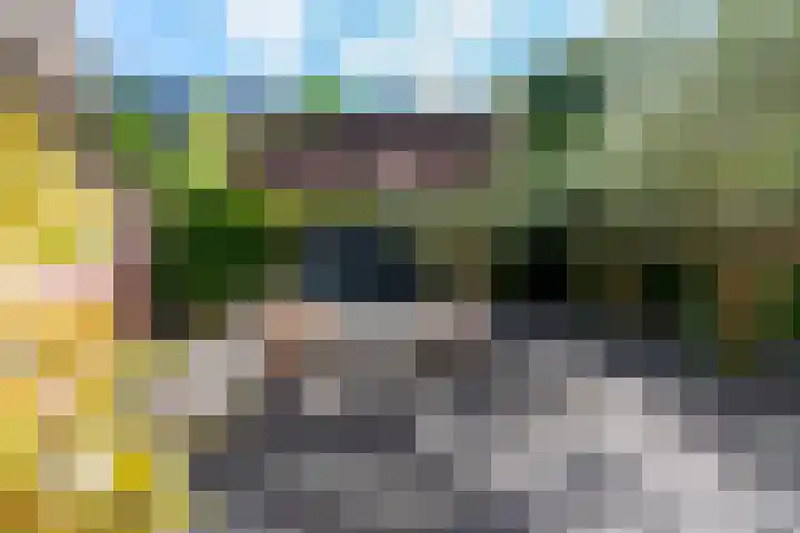 Pieterskerkhof 2 Utrecht thumbnail 24