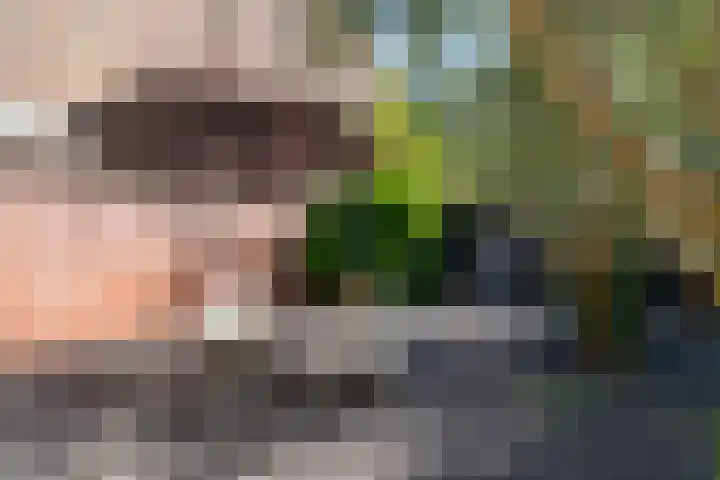Pieterskerkhof 2 Utrecht thumbnail 26
