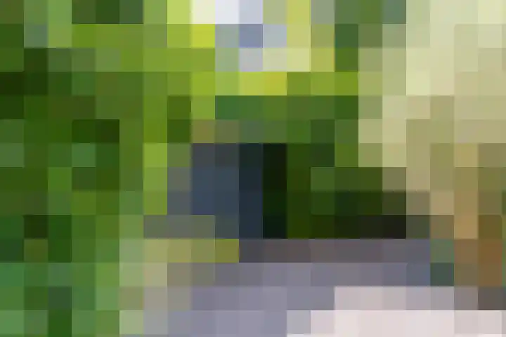 Pieterskerkhof 2 Utrecht thumbnail 29