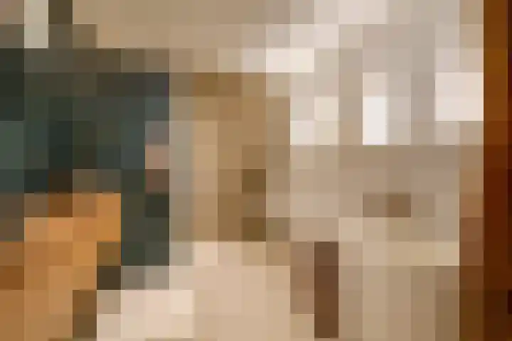 Pieterskerkhof 2 Utrecht thumbnail 44