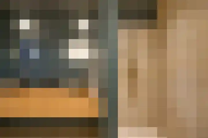 Pieterskerkhof 2 Utrecht thumbnail 47