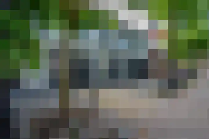 Pieterskerkhof 2 Utrecht thumbnail 51